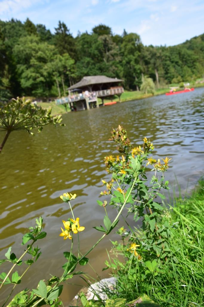 chevetogne canoes