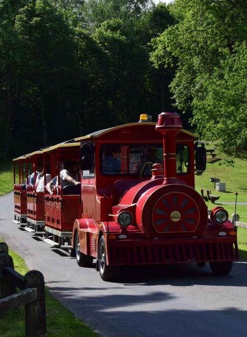 Petit train de Chevetogne