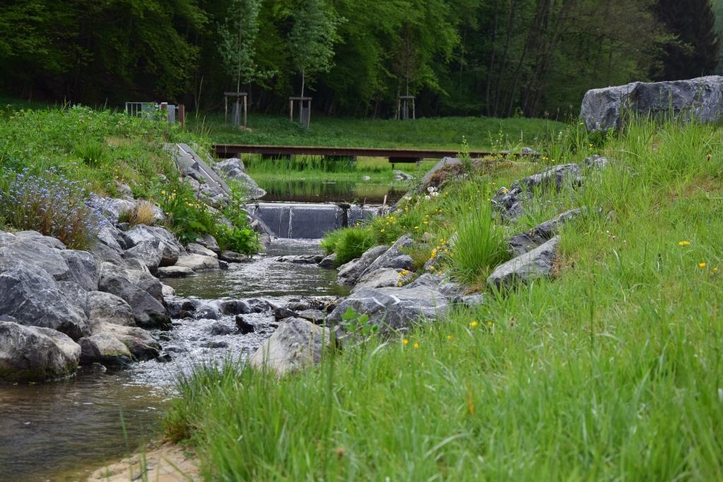 la zone humide du parc et ses paysages