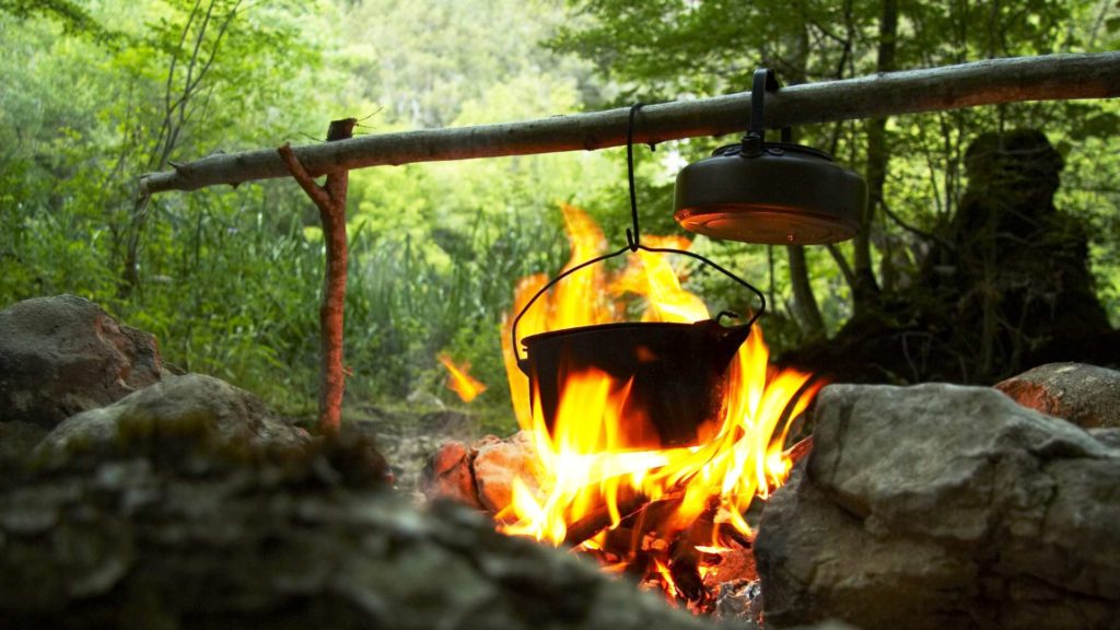 stage nature pour les enfants au domaine de chevetogne : vivre dehors