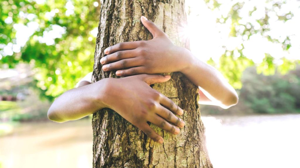 les stages nature de Chevetogne se déroulent dans la forêt