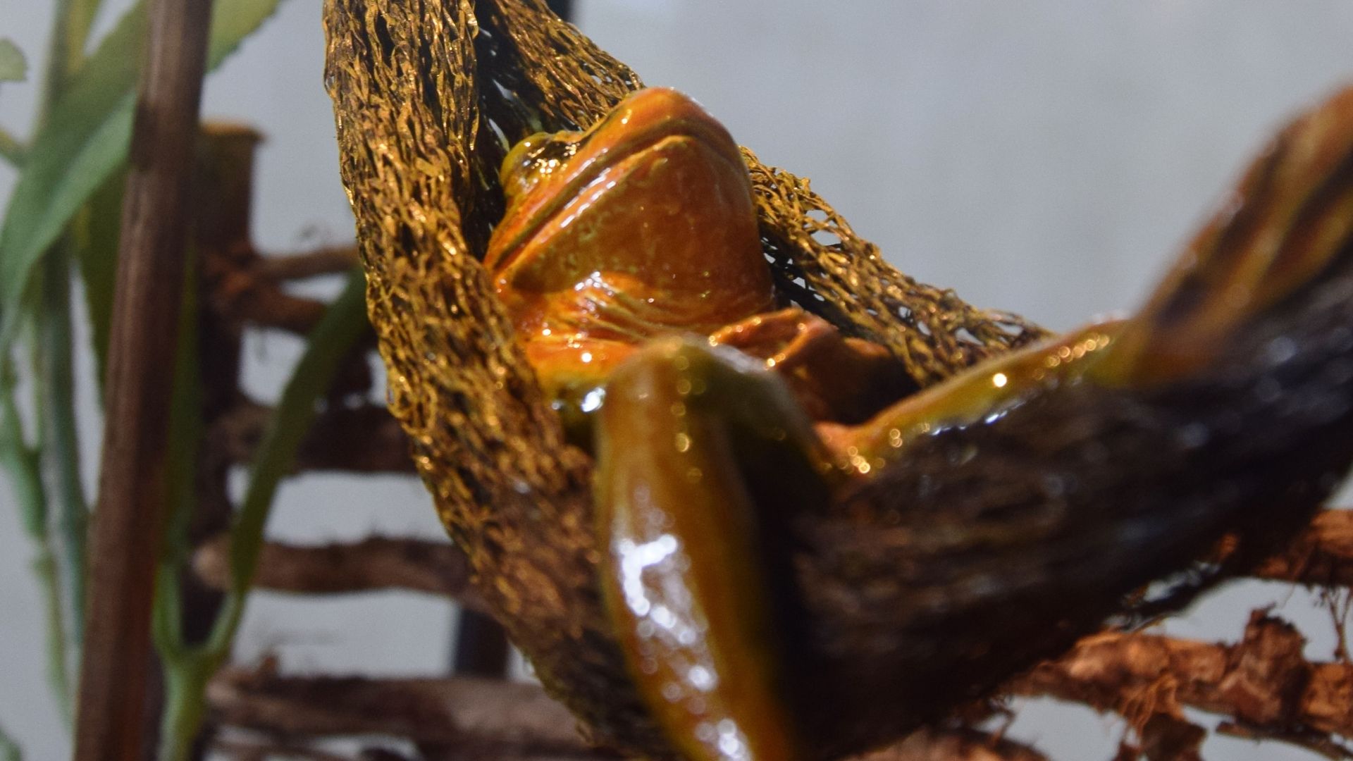 les a-musées-vous sont des visites guidées pour comprendre les musées de Chevetogne