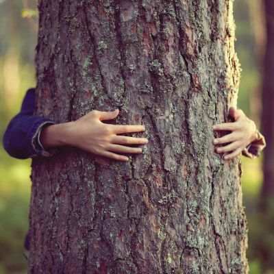 balade multisensorielle au Domaine de Chevetogne